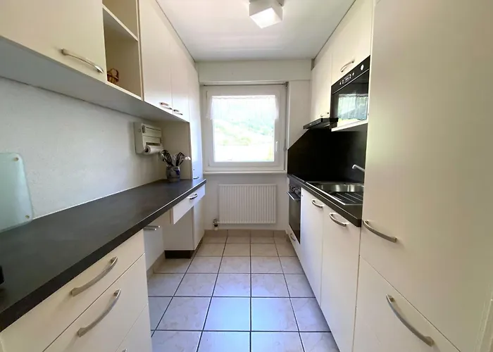 Adler 79 * Лойкербад